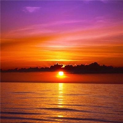 Trần Thị Lan avatar